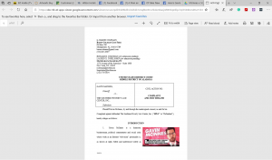 Front Page of Gavin McInnes Lawsuit Filing against the SPLC